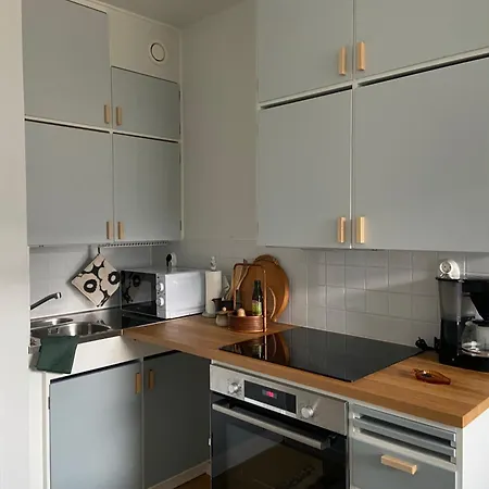 Alvar Aalto Design Aptm With Own Yard, Next To Airport And Flamingo And Jumbo アパート